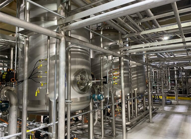 Turnkey Solution for Watermelon Wine Project