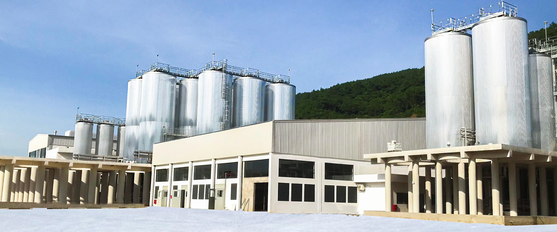 Équipement de brasserie de 20 millions de litres par an