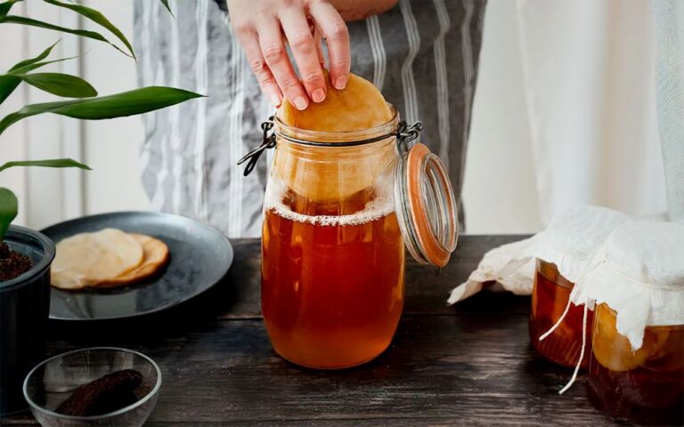 Matériel de kombucha